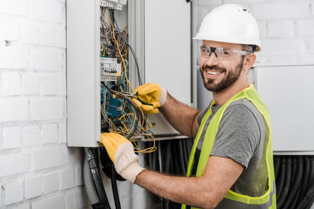 Best Electrical System Inspection  in Indian Lake, MO
